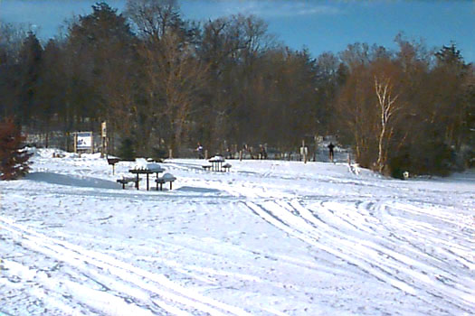 Cross Country skiing on trails at Spine Beach