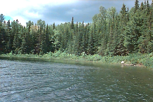 Spring view of shore of Esten Lake