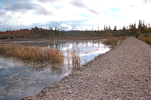 Fall view of Sherriff Creek Wildlife Nature Sanctuary