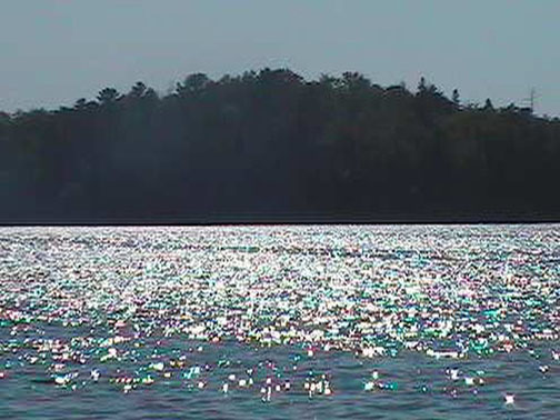 Submitted by Tom Woodward