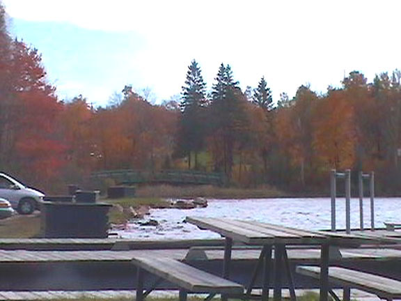 Submitted by Tom Woodward