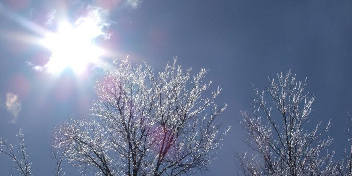 Beautiful Spring day after a rain . . . Photo by Scott Prevost