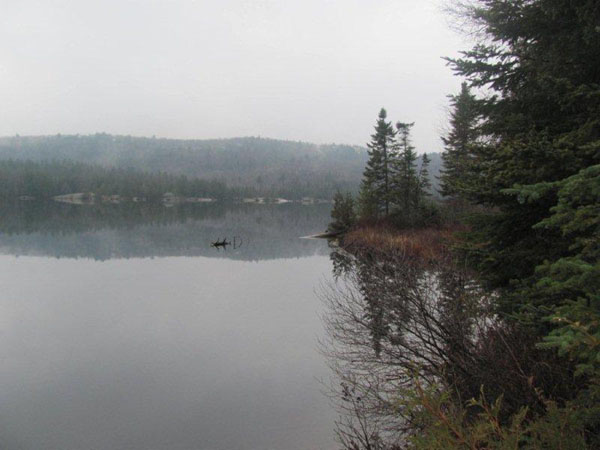 Misty morning on Canyon Lake.  Photo by Scott Prevost.